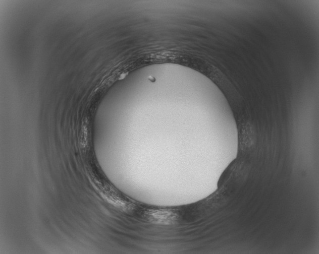 X0000085070183200703261241