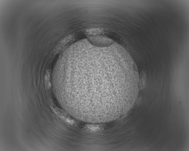 X0000085070187200703261241