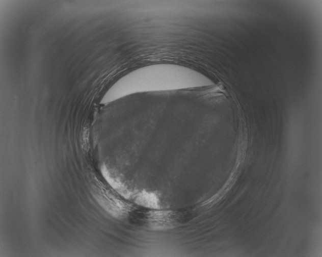 X0000085070192200703261241