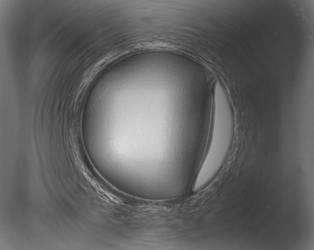 X0000085070193200703261240