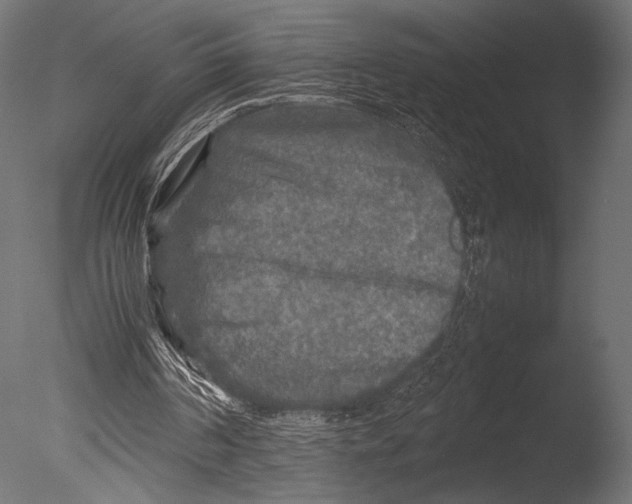 X0000085070194200703261240