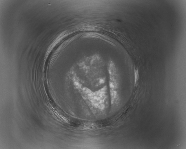 X0000085070195200703261240