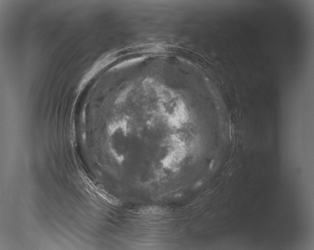 X0000085070198200703261240