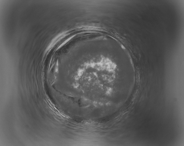 X0000085070199200703261240