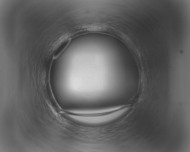 X0000085070201200703261240