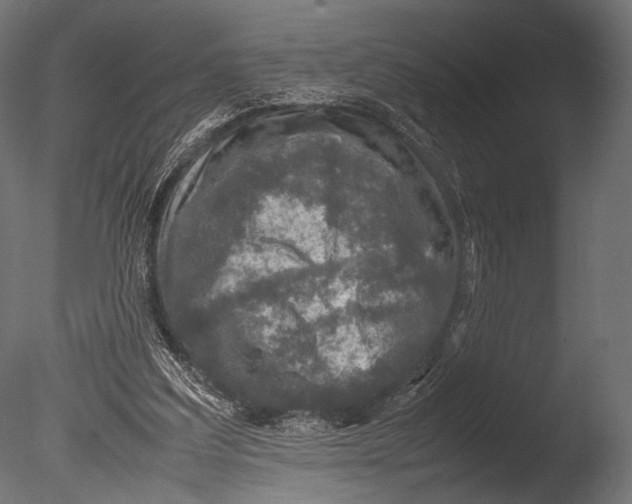 X0000085070203200703261240