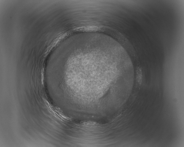 X0000085070206200703261240