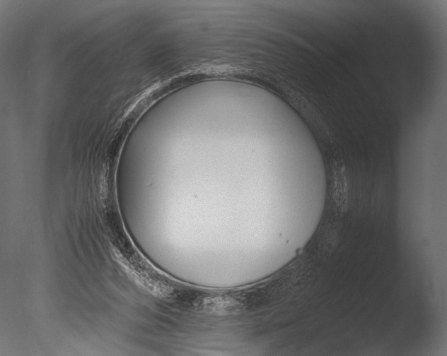 X0000085070208200703261240