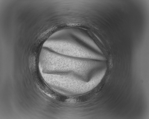 X0000085070211200703261240