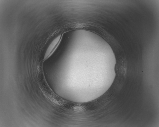 X0000085070216200703261240