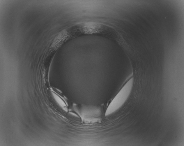 X0000085070219200703261240