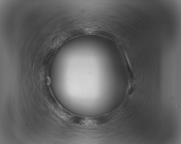 X0000085070221200703261240