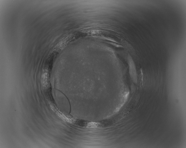 X0000085070222200703261240