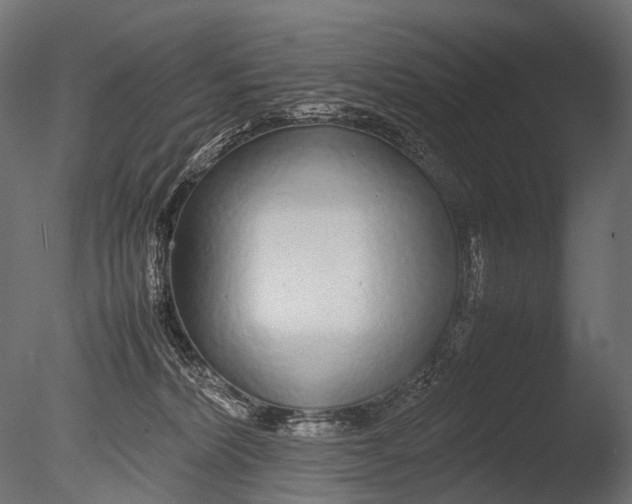 X0000085070228200703261240