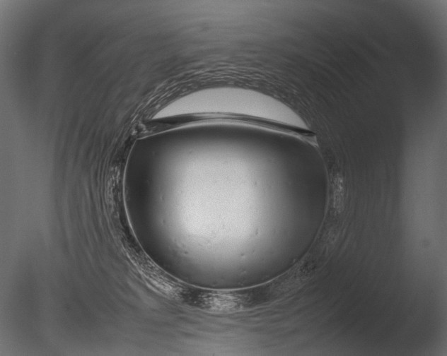 X0000085070229200703261240