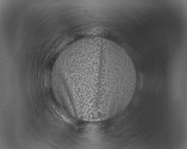 X0000085070236200703261240