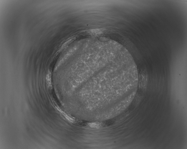 X0000085070238200703261240