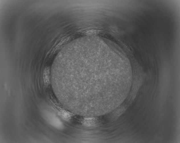 X0000085070240200703261240