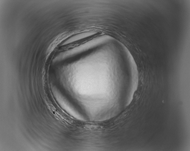 X0000085070242200703261239