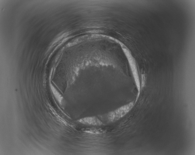 X0000085070243200703261239