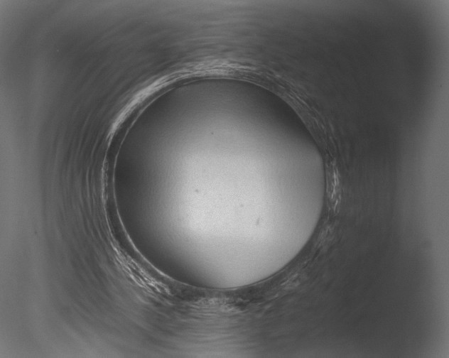 X0000085070244200703261239