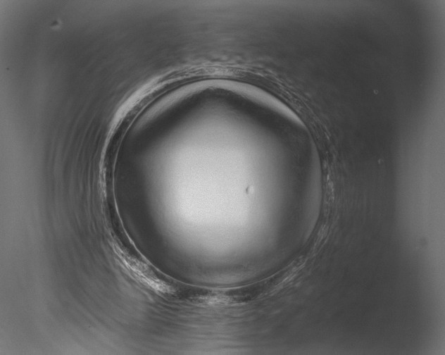 X0000085070246200703261239