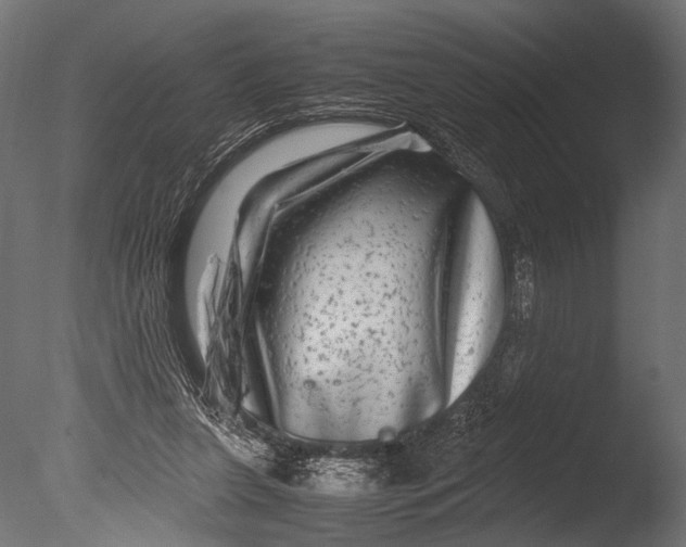 X0000085070255200703261239