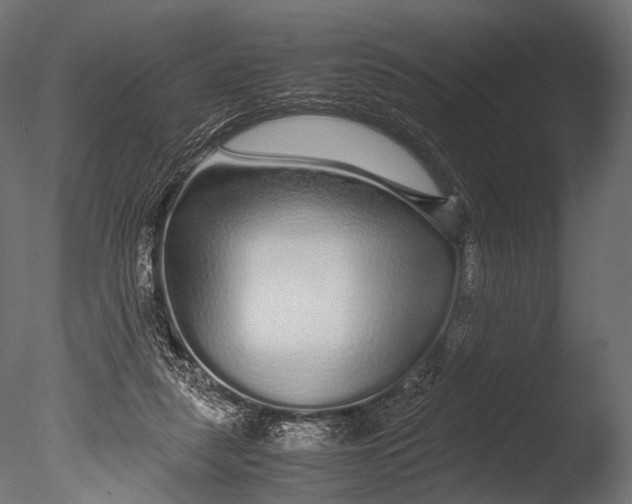 X0000085070259200703261239