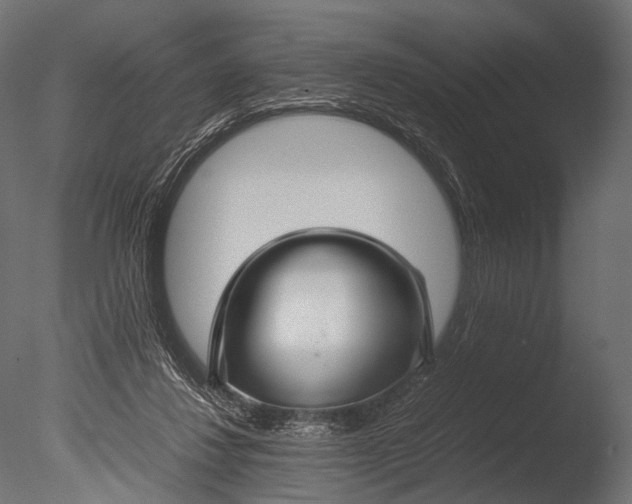 X0000085070260200703261239