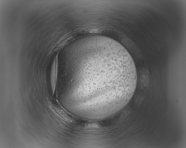 X0000085070262200703261239