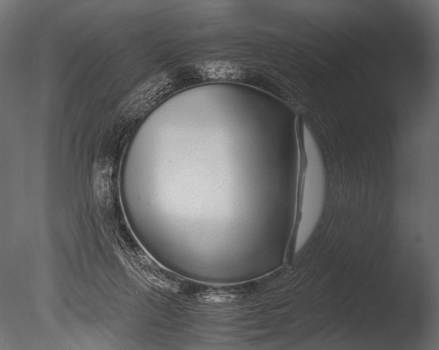 X0000085070263200703261239