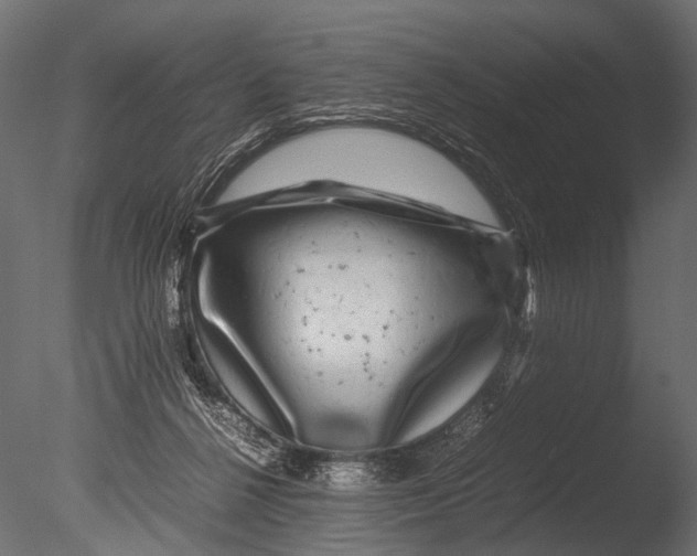 X0000085070264200703261239