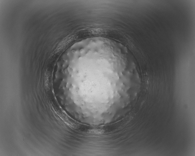 X0000085070266200703261239