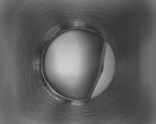 X0000085070269200703261239