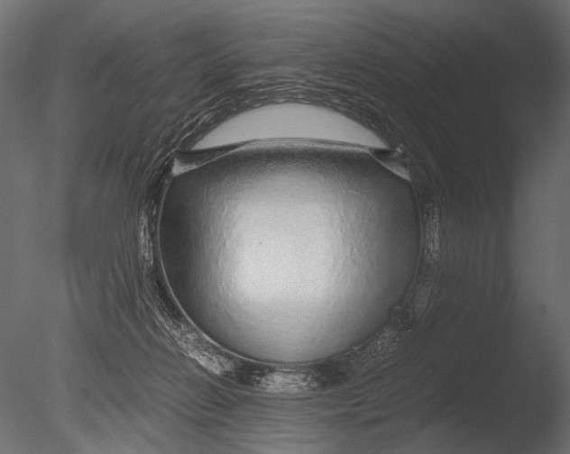 X0000085070270200703261239