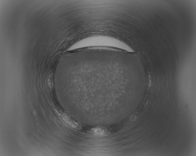 X0000085070272200703261239