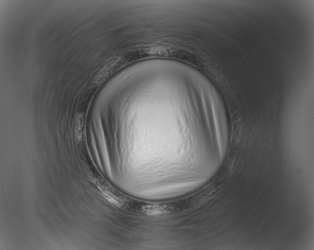 X0000085070273200703261239