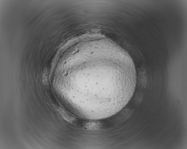 X0000085070274200703261239