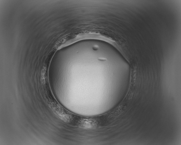 X0000085070275200703261239