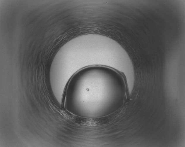 X0000085070276200703261239