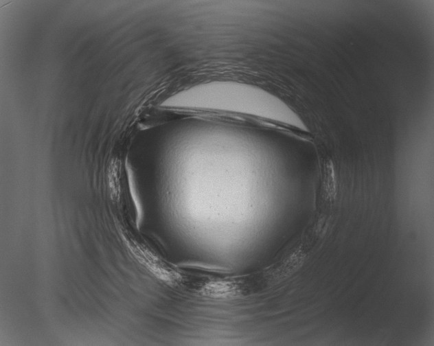 X0000085070280200703261239