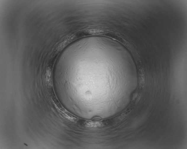 X0000085070281200703261239