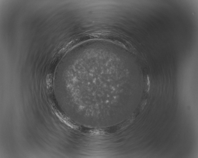 X0000085070284200703261239