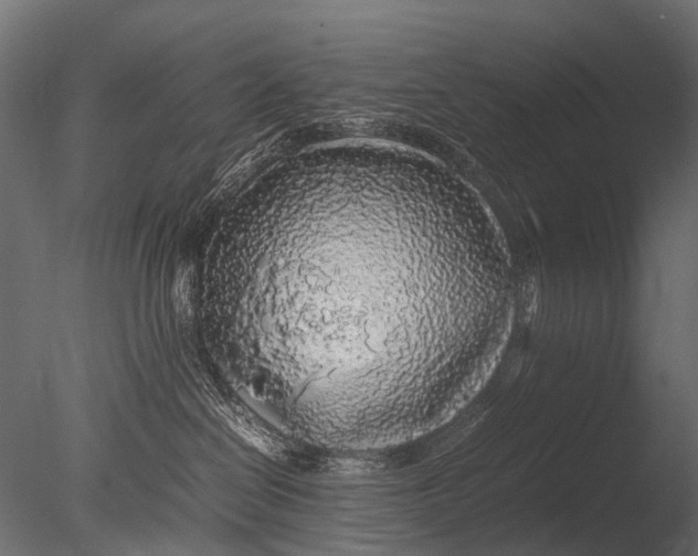 X0000085070286200703261240