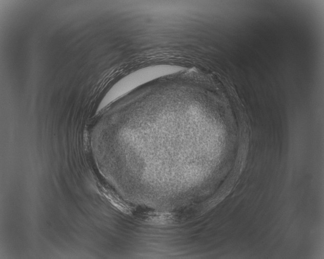 X0000085070288200703261240