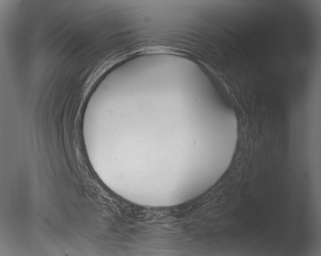 X0000085070289200703261239