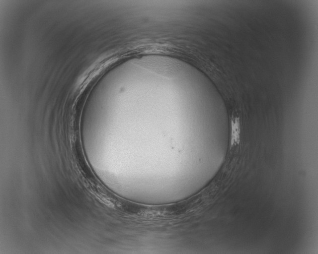 X0000085070291200703261239