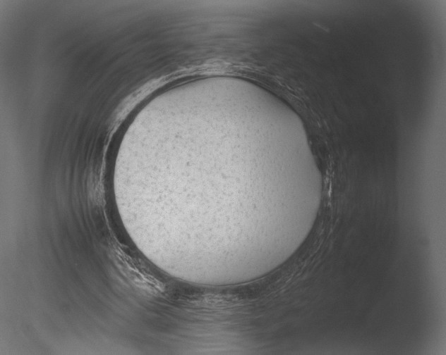 X0000085070292200703261239