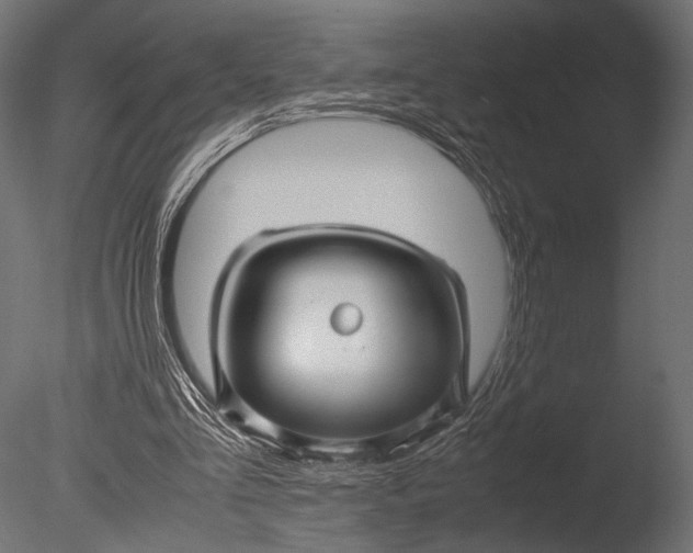 X0000085070293200703261239