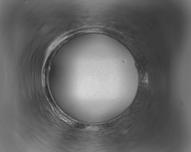 X0000085070294200703261239